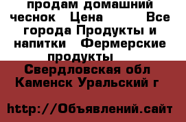 продам домашний чеснок › Цена ­ 100 - Все города Продукты и напитки » Фермерские продукты   . Свердловская обл.,Каменск-Уральский г.